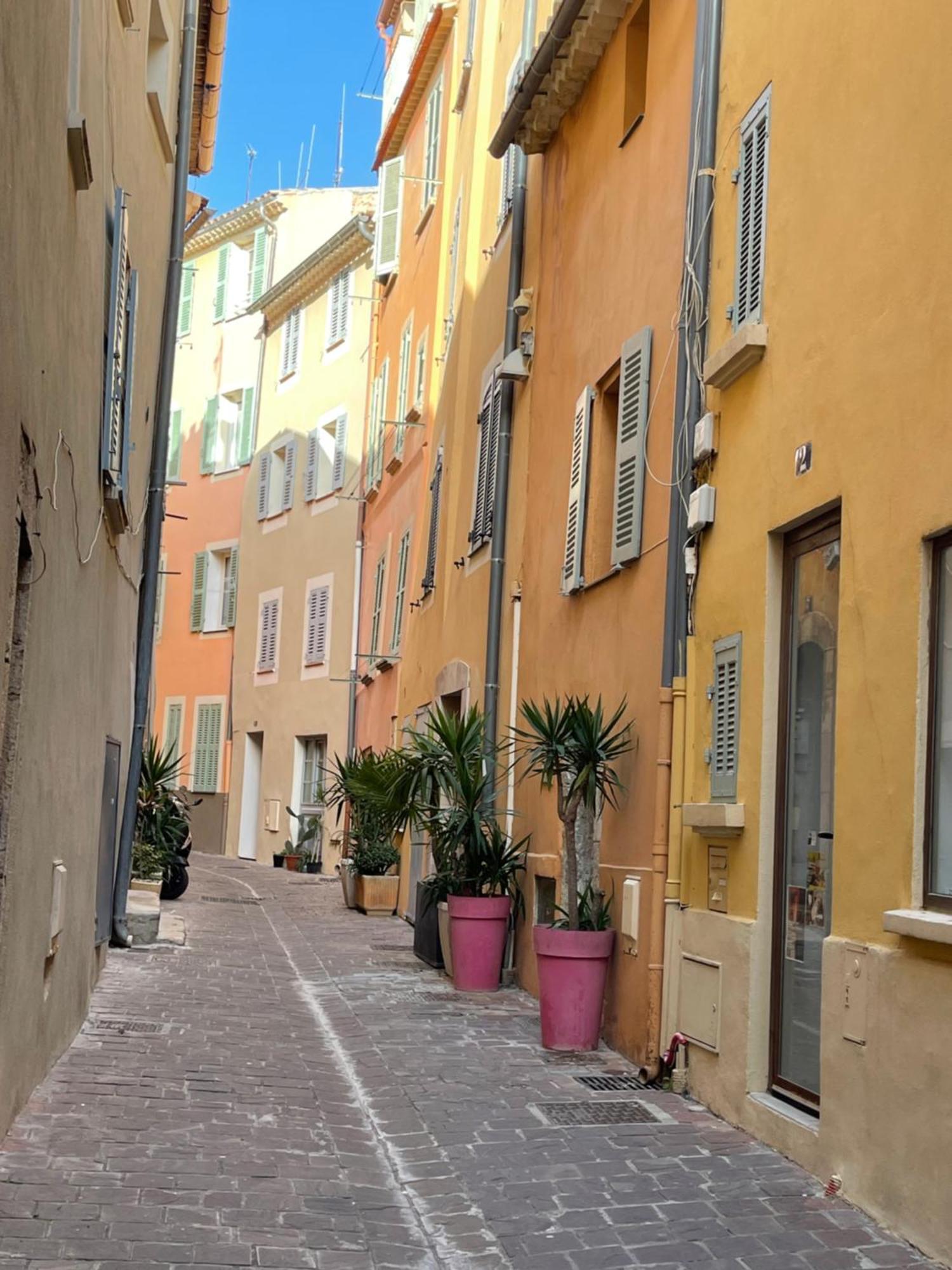 Le Palmae, Serenite Et Charme En Coeur De Ville Hyères Zewnętrze zdjęcie